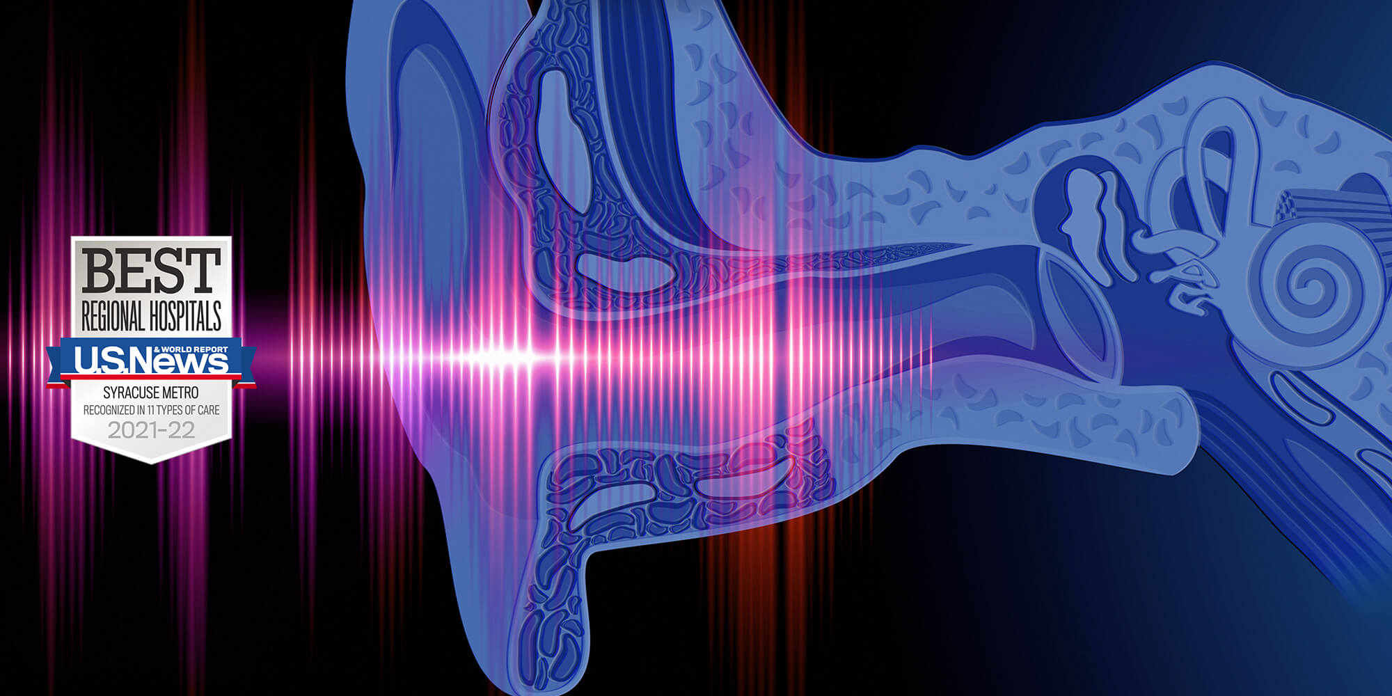 ENT banner
